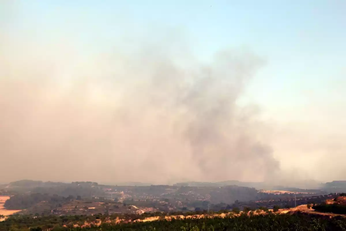Imatge de l'incendi que va cremar la Ribera d'Ebre fa dos anys