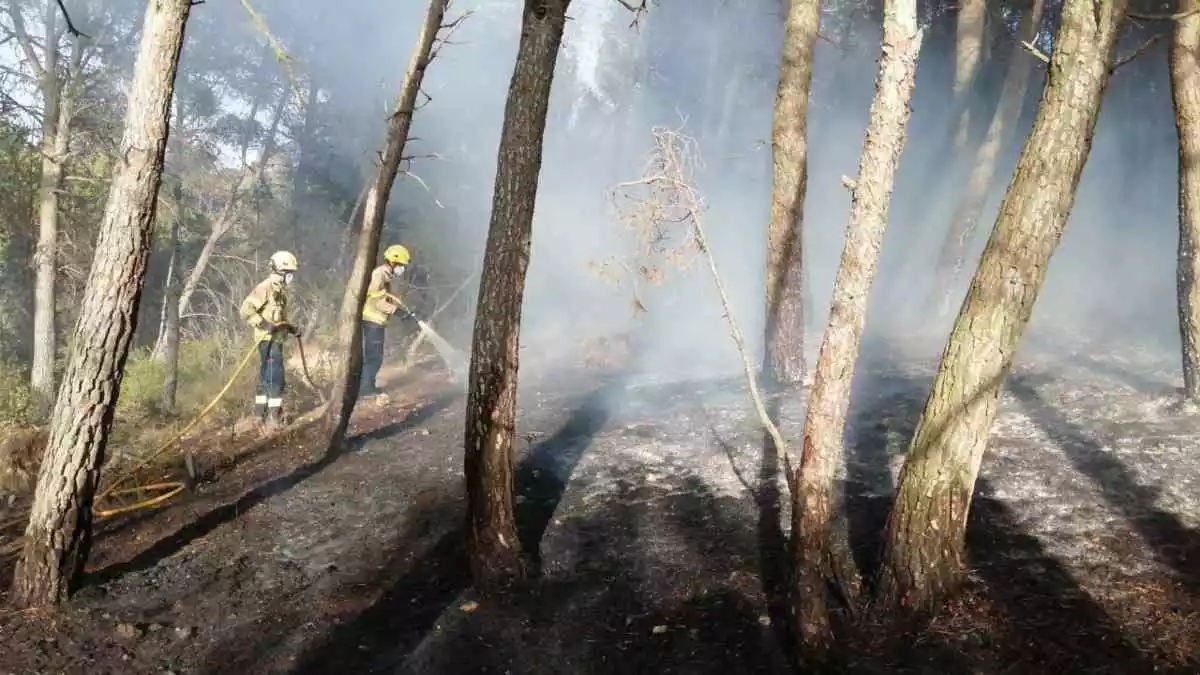 Imatge dels bombers actuant en l'incendi forestal al terme municipal de Querol