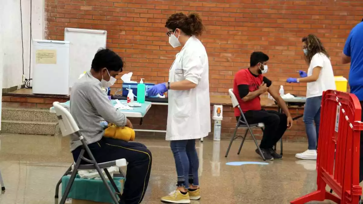 L'espai de vacunació per als treballadors de la campanya de fruita dolça al local de la Democràcia de Móra d'Ebre