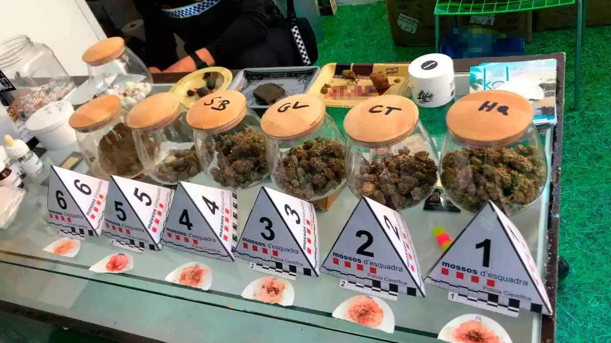 Marihuana en pots en una botiga de Salou