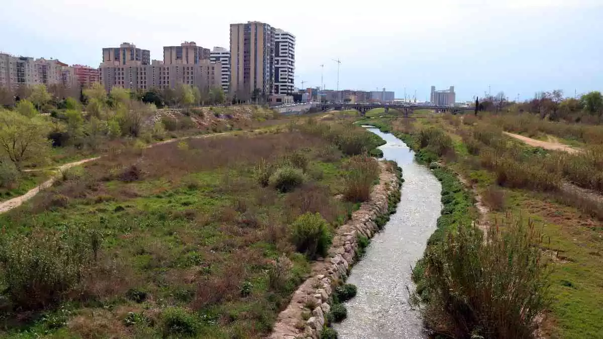 Pla general aeri d'un tram del riu Francolí al seu pas per la ciutat de Tarragona amb un mur empedrat i molt poca vegetació de ribera.