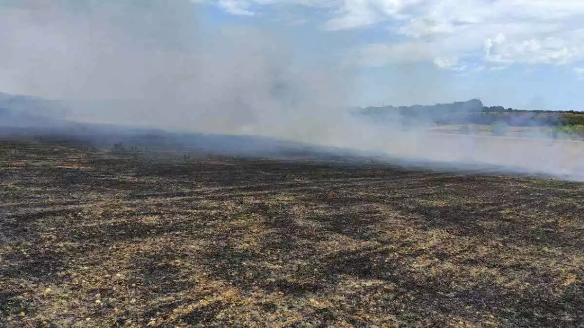 Terreny agrícola cremat a Vila-rodona