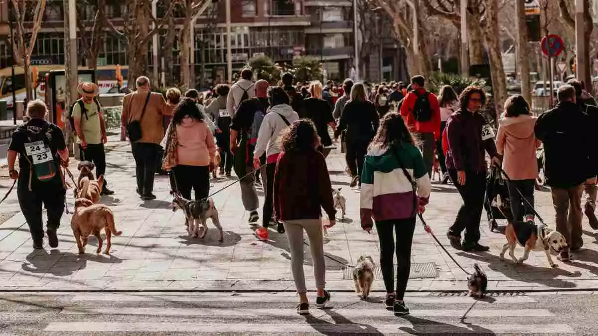 Un nombrós grup de persones passejant gossos al passeig Sunyer de Reus
