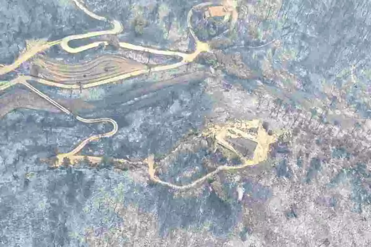 Imatge aèria del bosc cremat