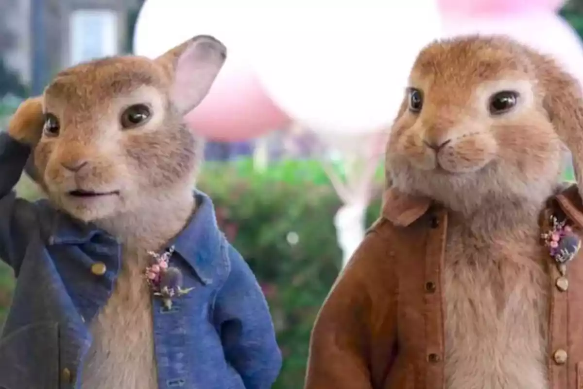 Peter Rabbit i el seu amic en una imatge d'arxiu de la pel·lícula