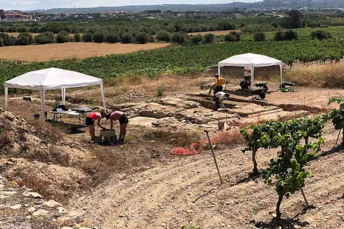 Pla general de l’equip treballant en la campanya d’excavació al jaciment de Mas dels Frares, a Constantí
