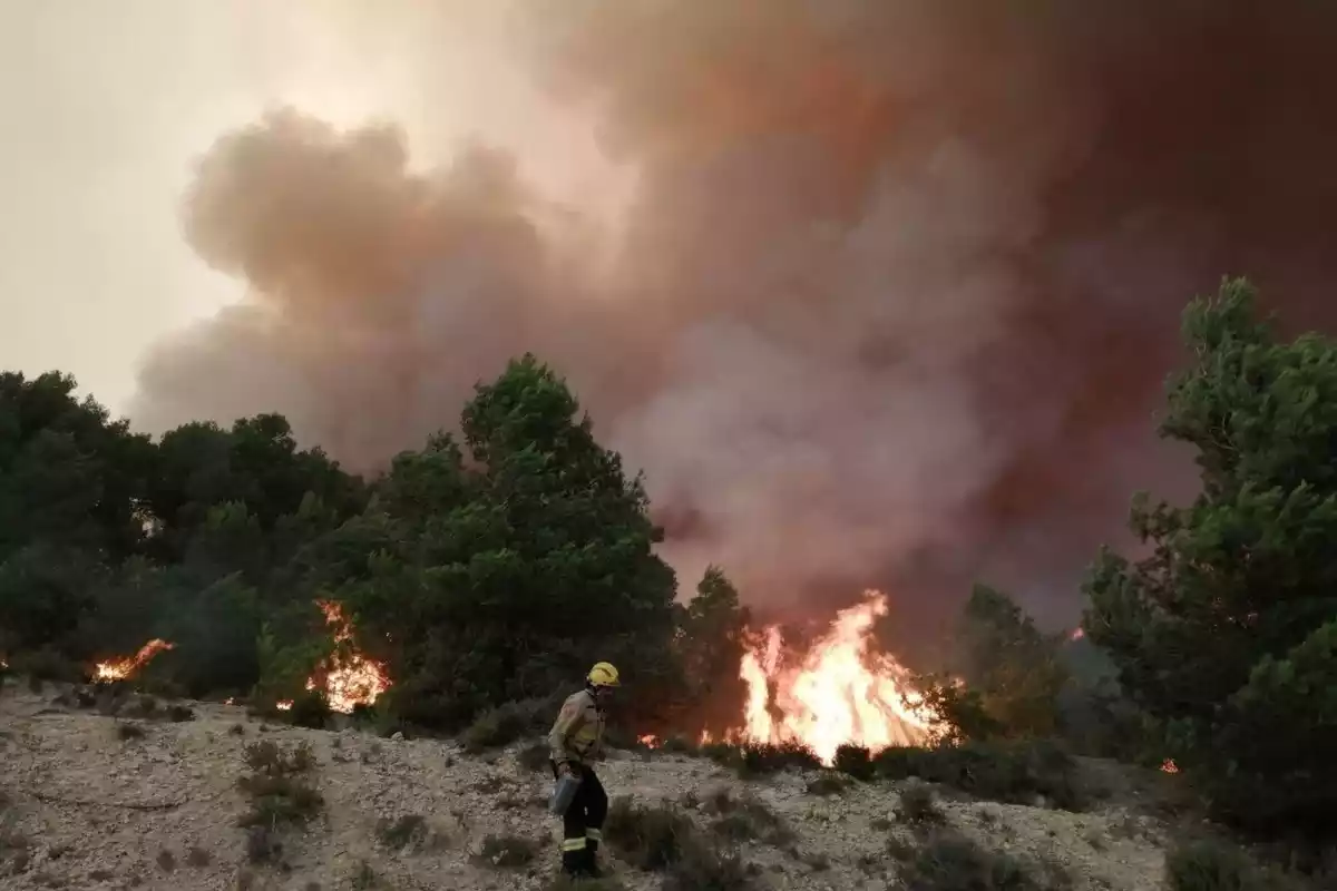 Un bomber treballa contra les flames en l'incendi de la Conca de Barberà