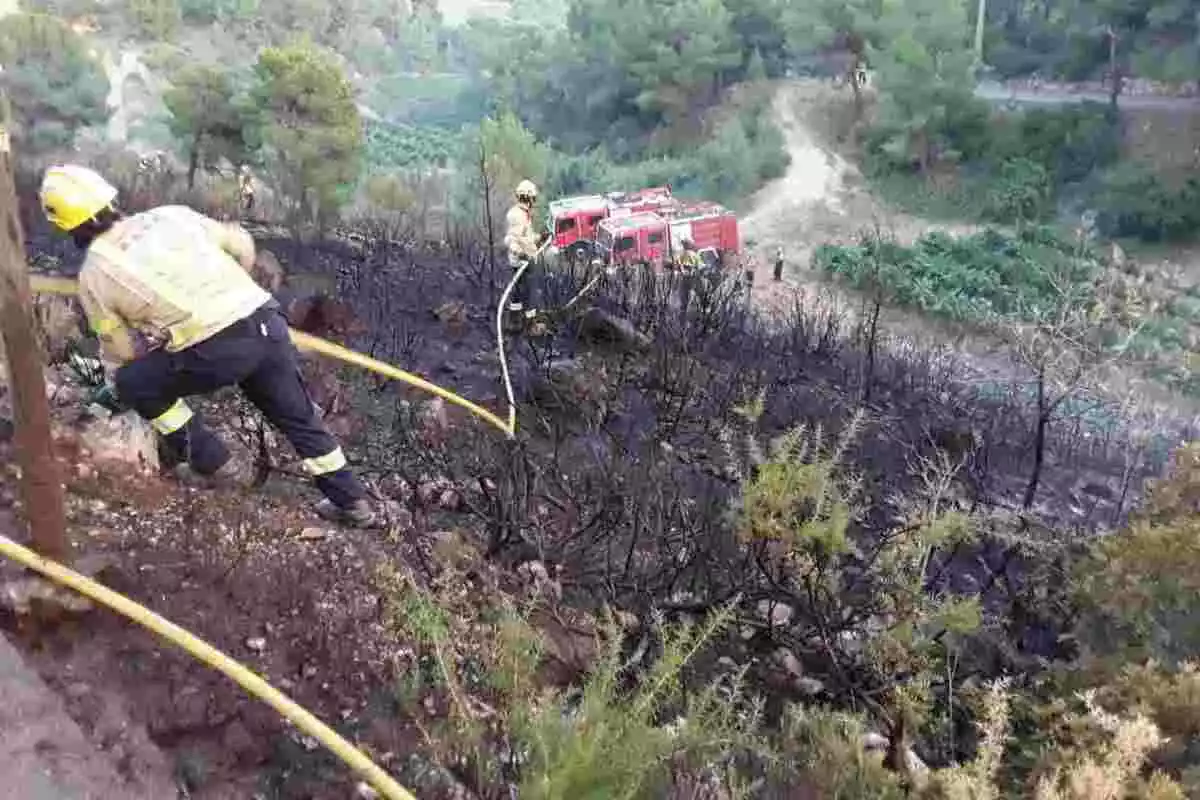 Bomber apagant el foc d'un bosc