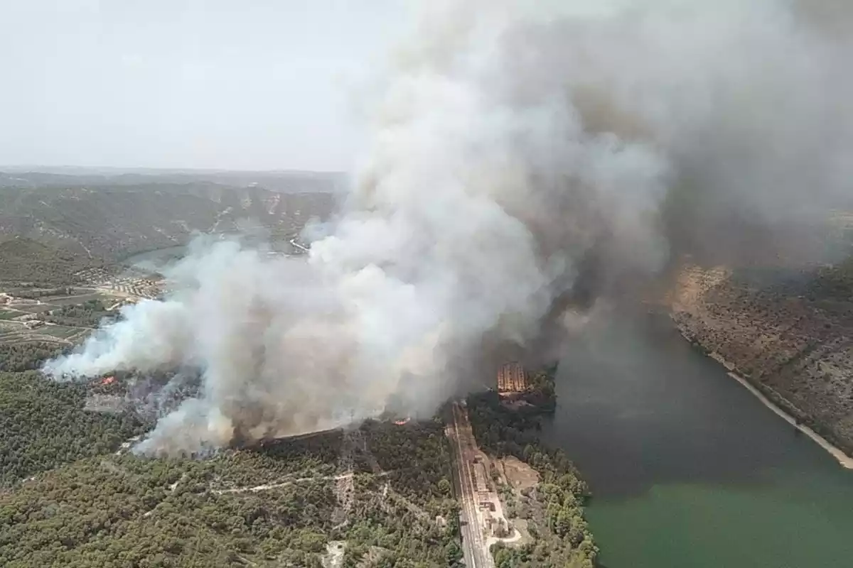 Imatge de l'incendi que crema a la vora del riu Ebre a la Pobla de Massaluca.