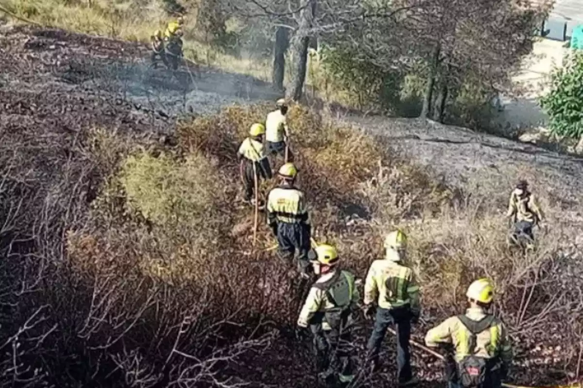 Incendi de vegetació a la urbanització Els Rosers de Cunit.