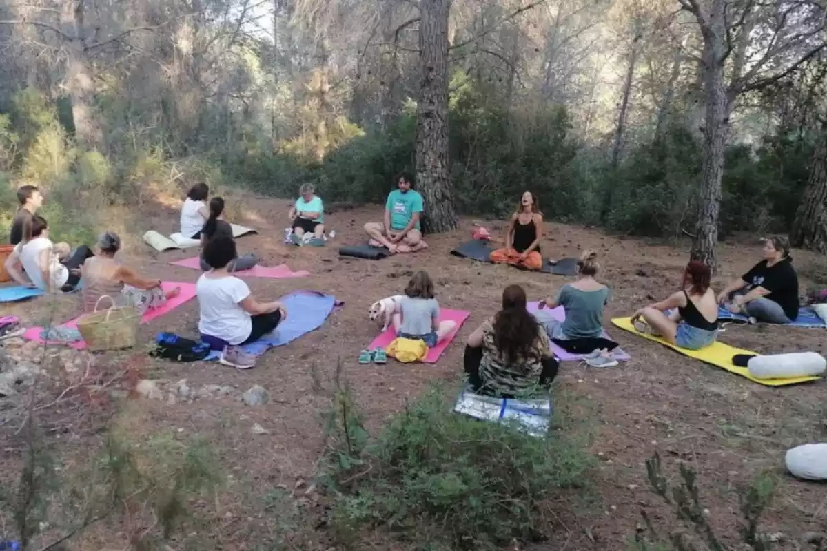 Sessió de meditació al bosc Miramar de Cunit.