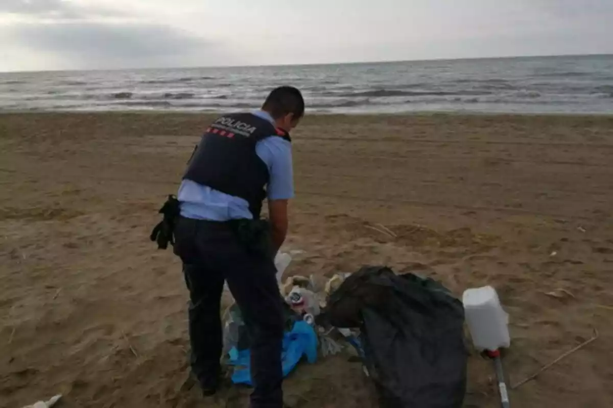 Un agent dels Mossos retira les escombraries abocades a una platja del Delta de l'Ebre
