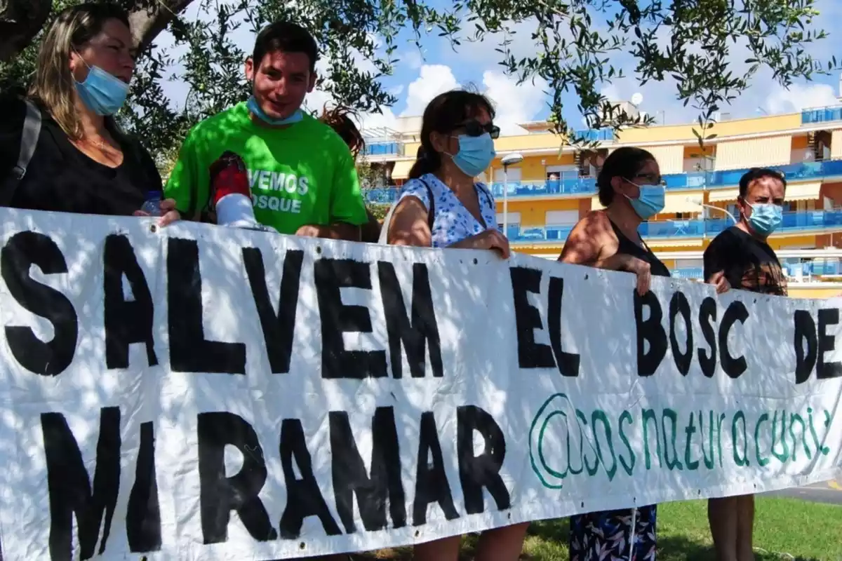 Protesta contra la tala d'un bosc mediterrani a Cunit.