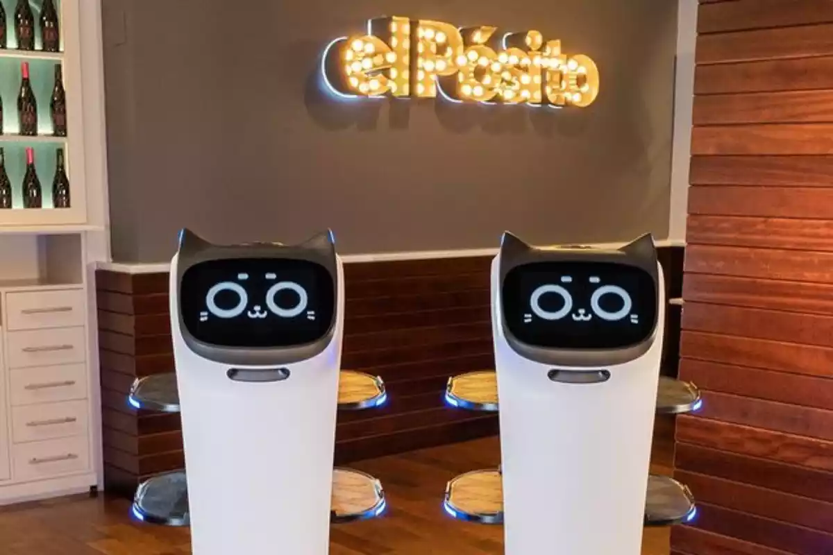 Holabot i Bellabot, els dos robots del restaurant El Pòsit de Cambrils