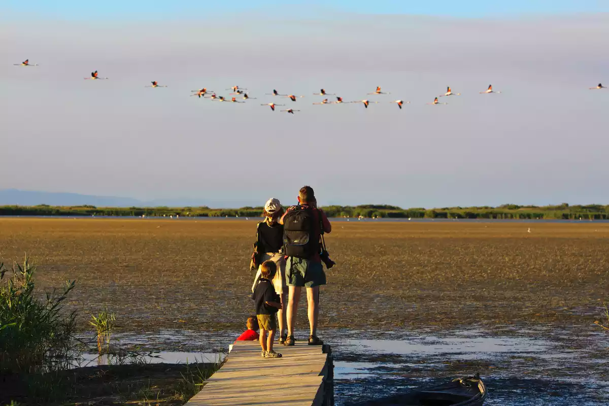 Observació d'aus al Parc Natural del Delta de l'Ebre
