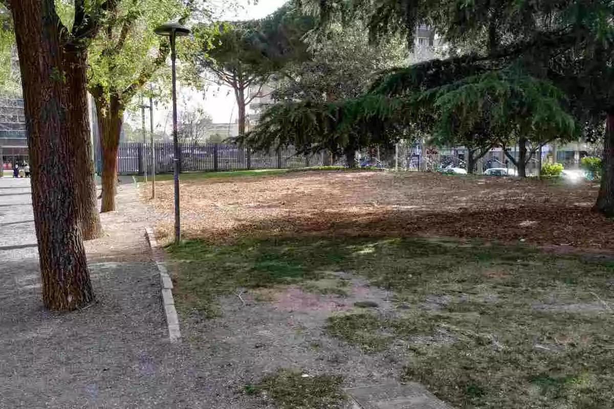 Àrea del parc Sant Jordi on s'ubicarà el nou espai de joc