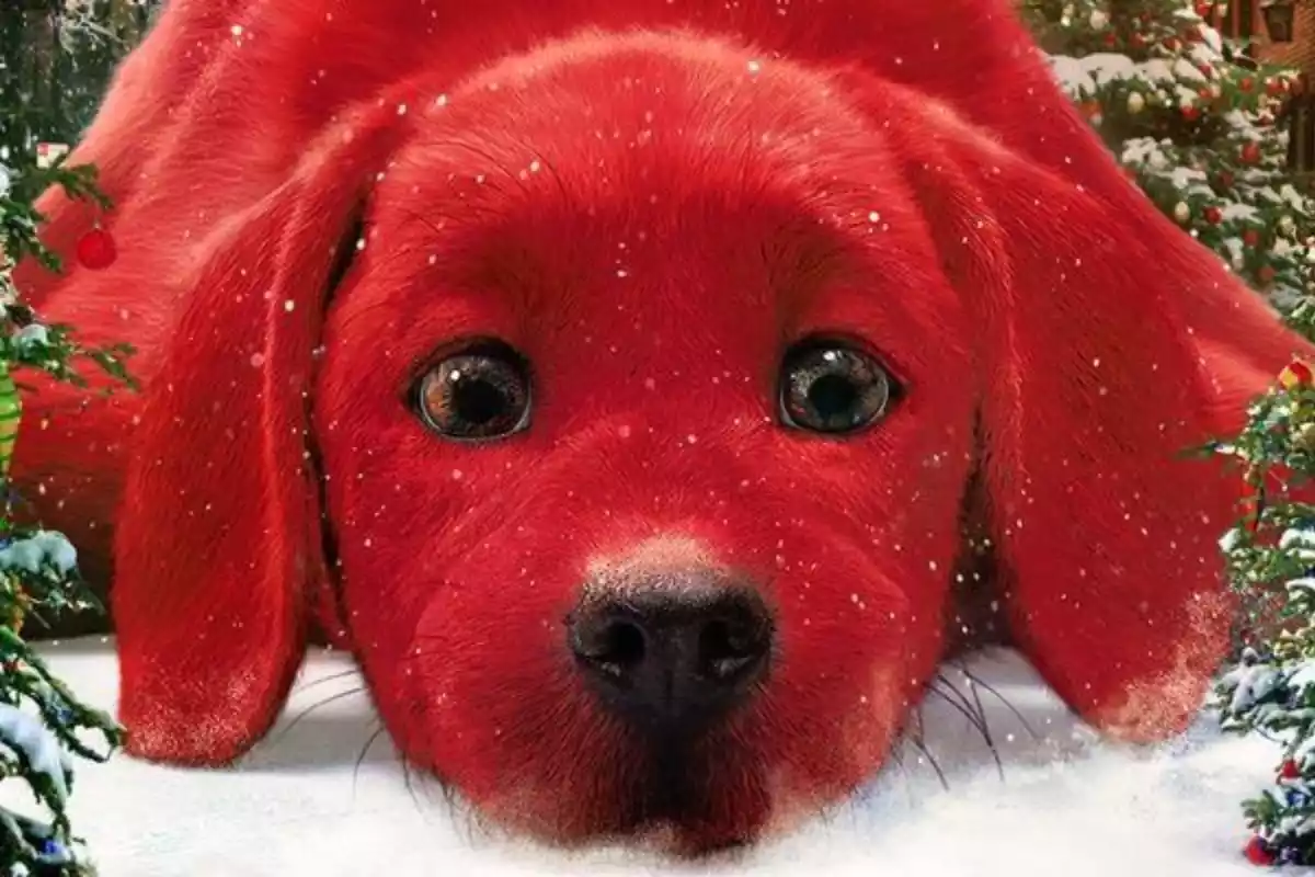 Imatge de Clifford, el gran perro rojo