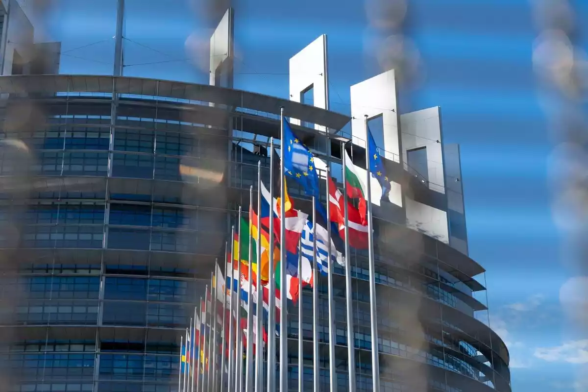 Imatge de les banderes de la Unió Europea i els països membres al Parlament Europeu