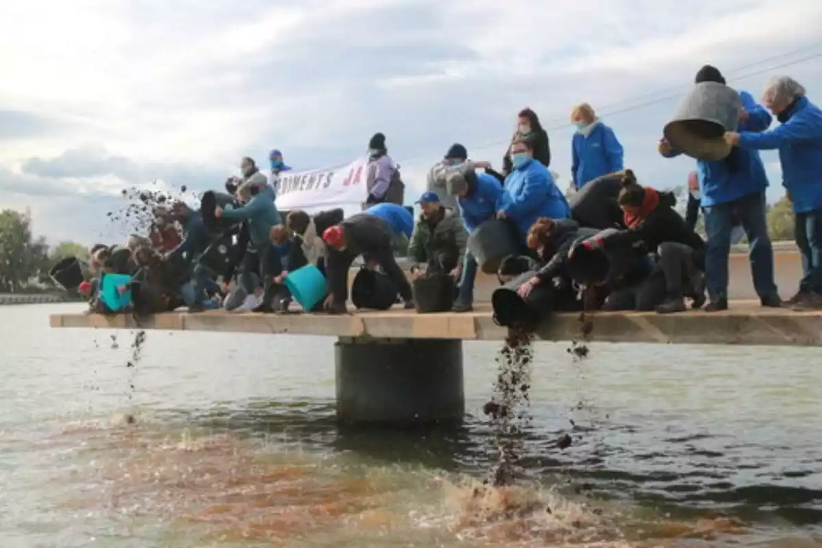 Membres d'entitats defensores del Delta aboquen sediments al riu Ebre en una acció de protesta