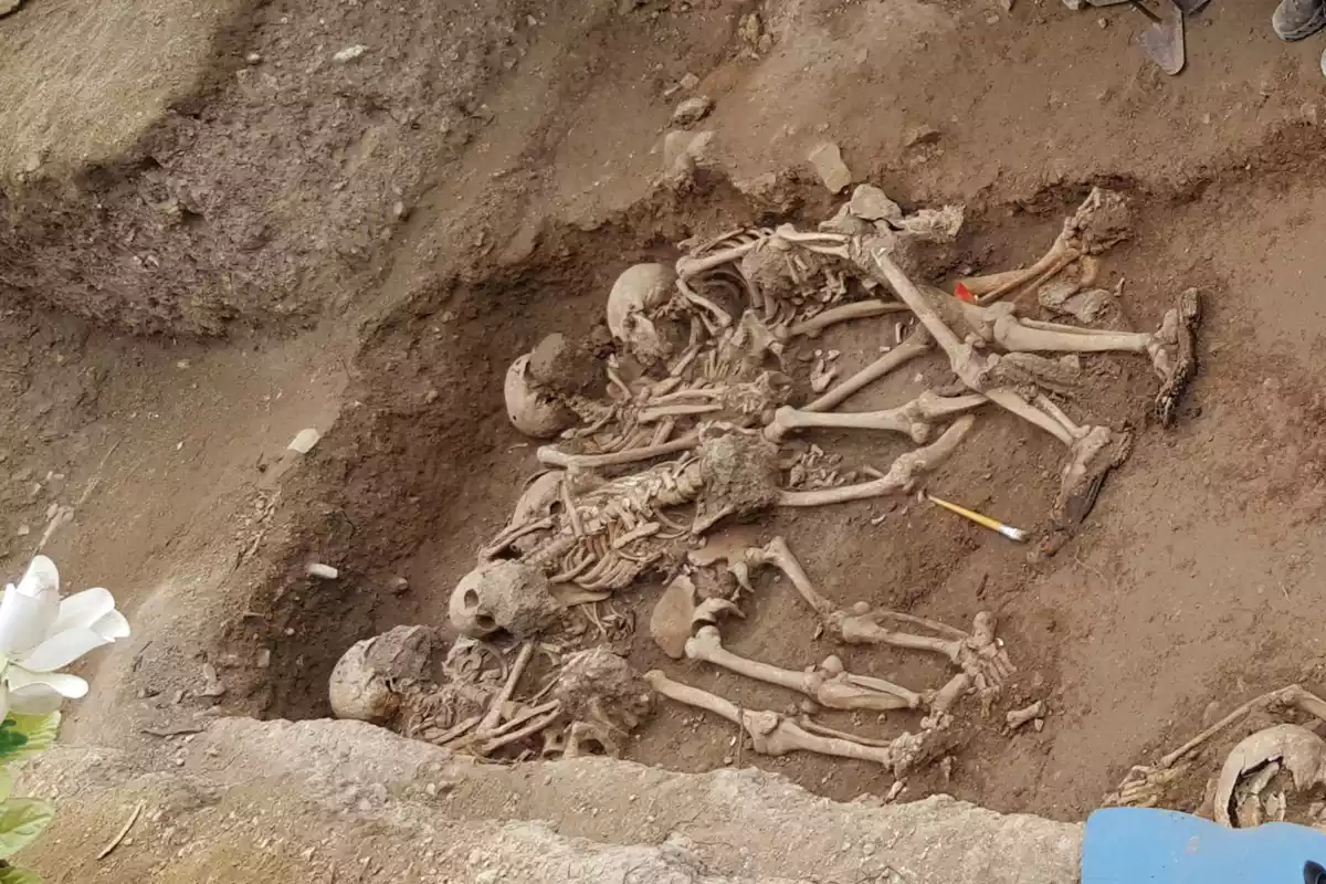 Treballs d'exhumació a la fossa comuna de Salomó