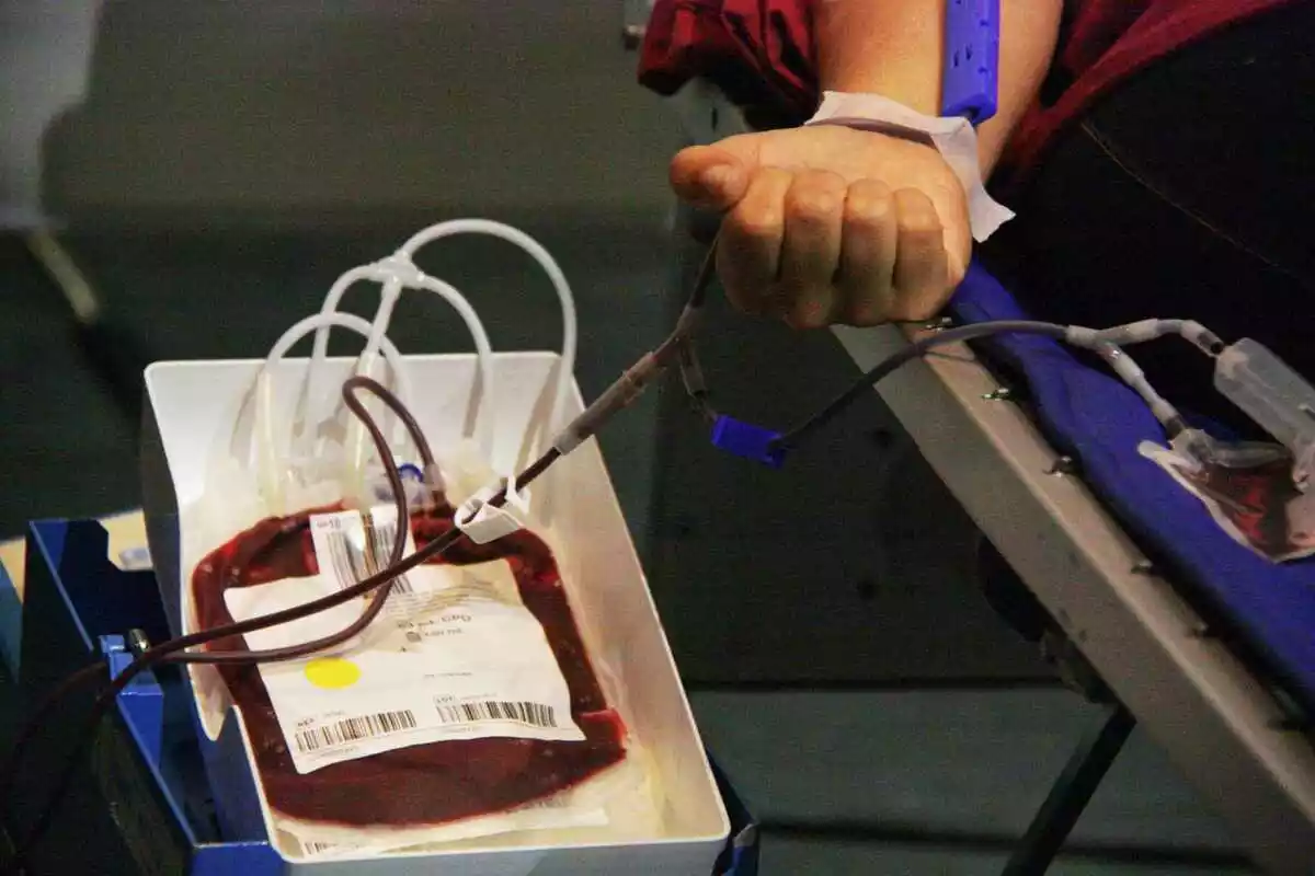 Pla tancat d'una bossa de sang amb un puny al costat tancat durant la Marató de Donació de Sang de Tarragona