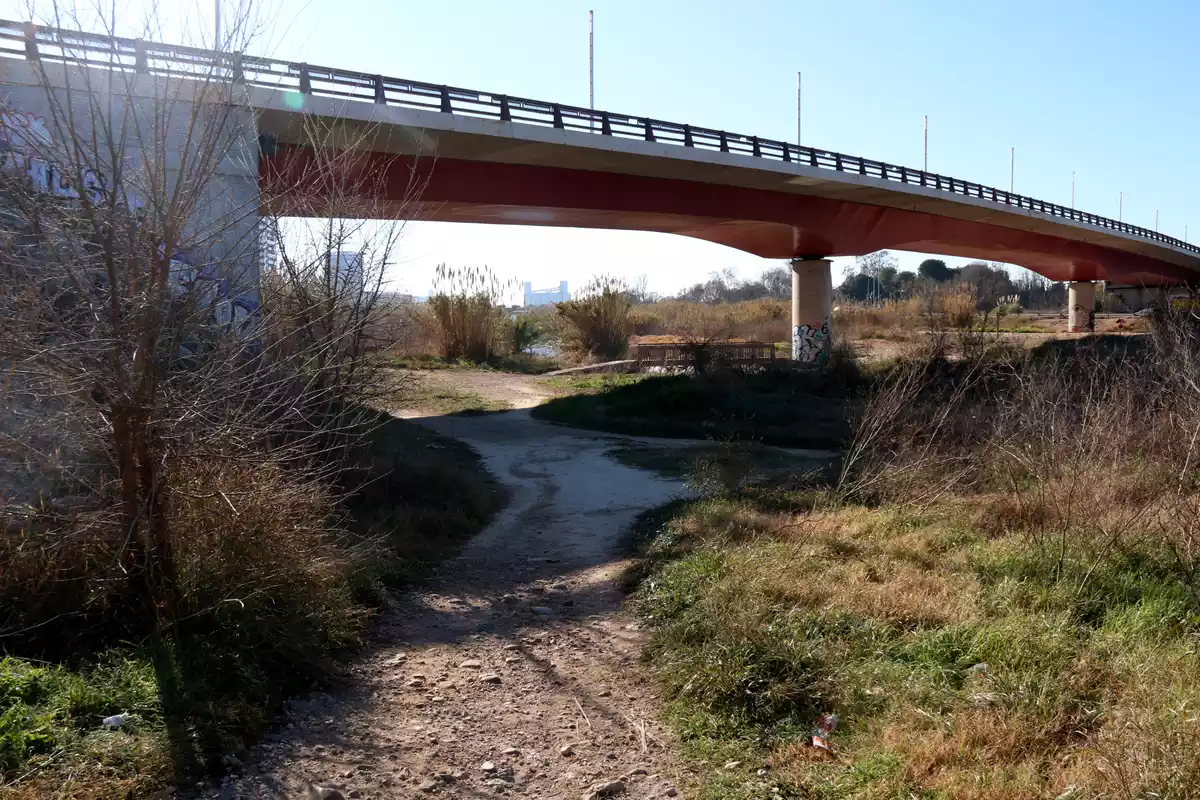 Un tram del parc del riu Francolí al seu pas per la ciutat de Tarragona, un dels espais inclosos en el projecte de l'Anella Verda