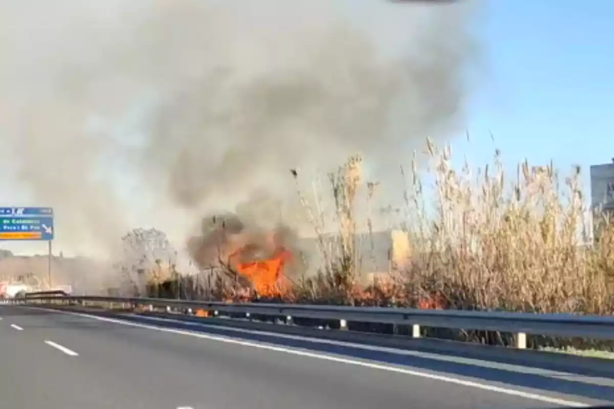 Incendi a l'autovia A-7 al seu pas per Tarragona