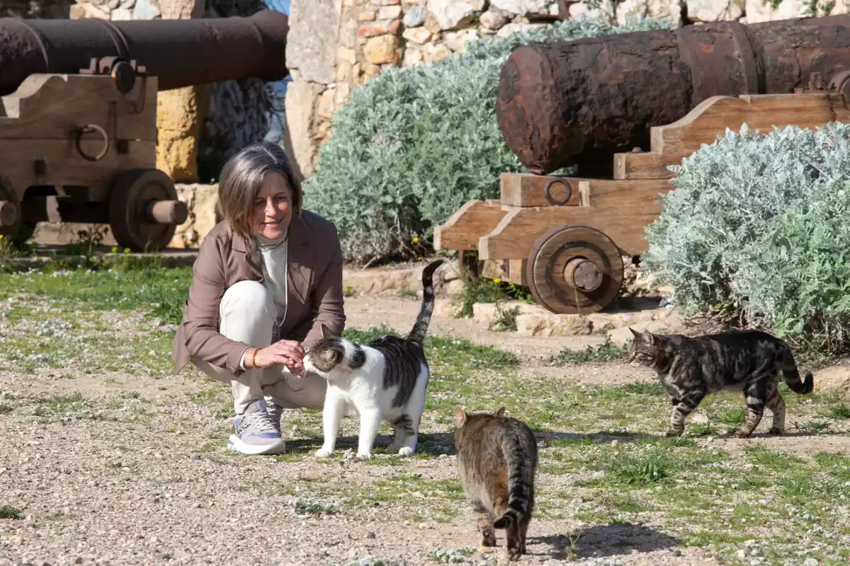 La consellera Elvira Vidal amb gats ferals de Tarragona