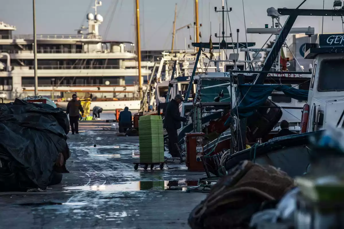 Pescadors treballant al Port de Tarragona