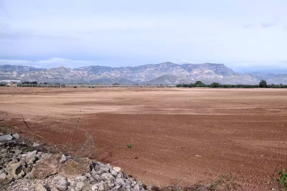 Pla general dels terrenys on es projecta la planta de compostatge al terme municipal de Santa Bàrbara