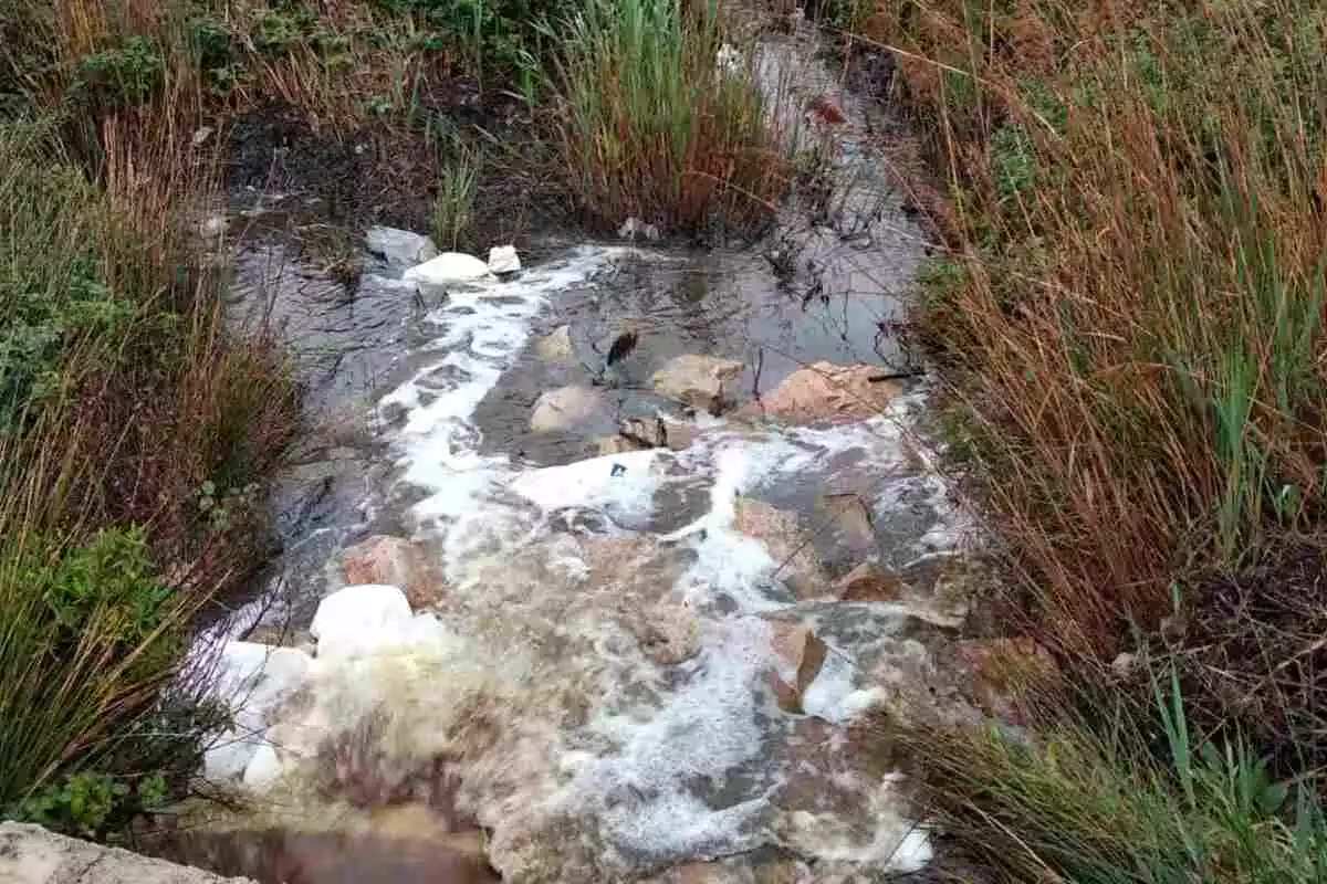 Aigua contaminada d'un riu