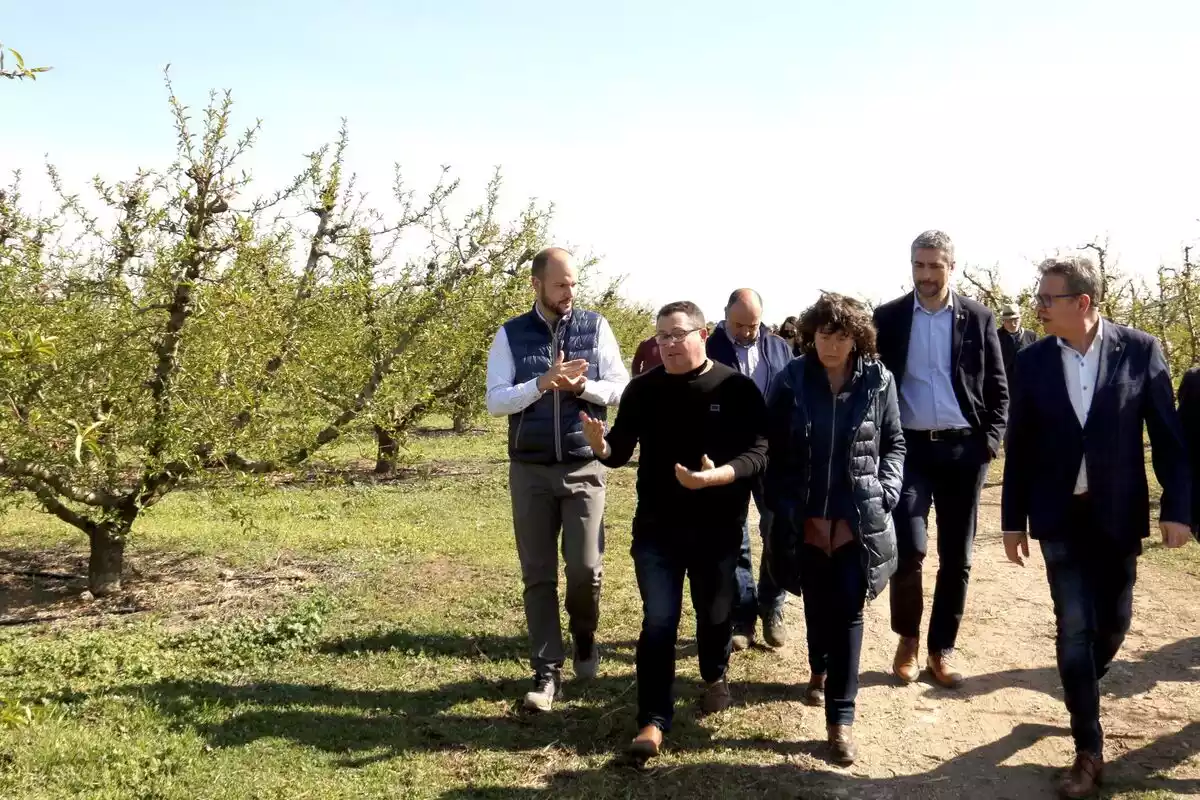 La consellera d’Acció Climàtica, Alimentació i Agenda Rural, Teresa Jordà, durant la visita a una finca afectada per les últimes gelades