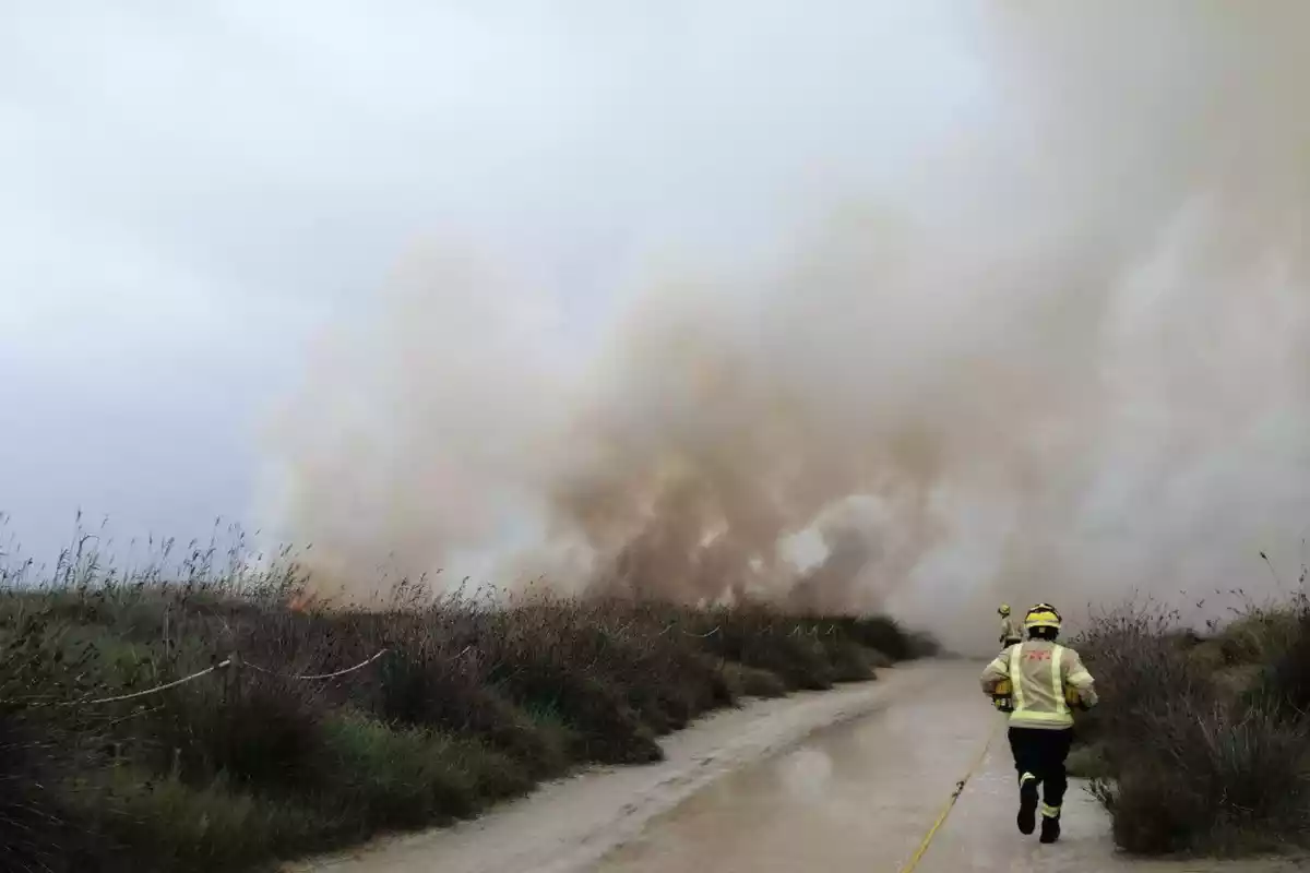 Imatge d'un bomber treballant per apagar les flames de l'incendi de Deltebre