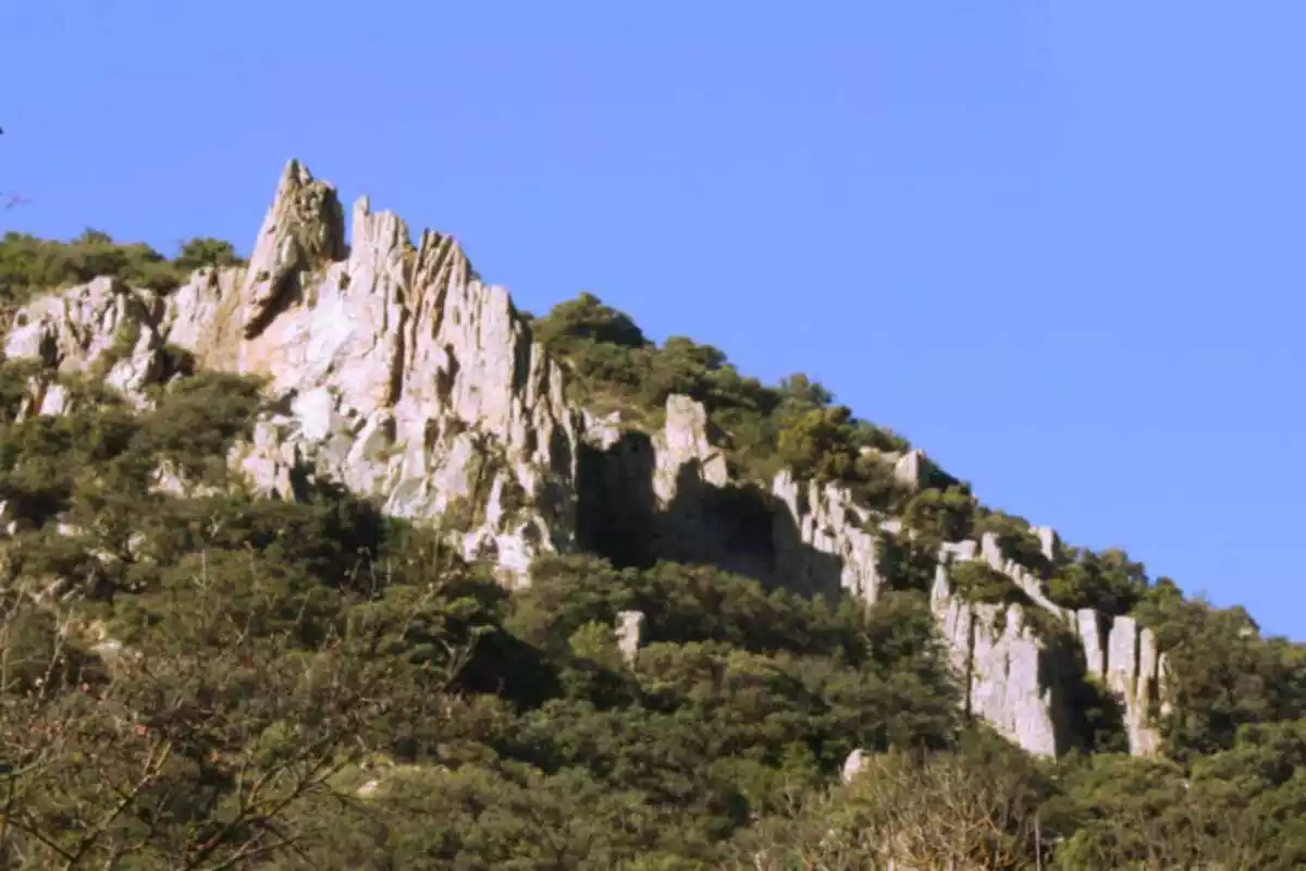 Imatge d'una cresta de la vall de castellfollit