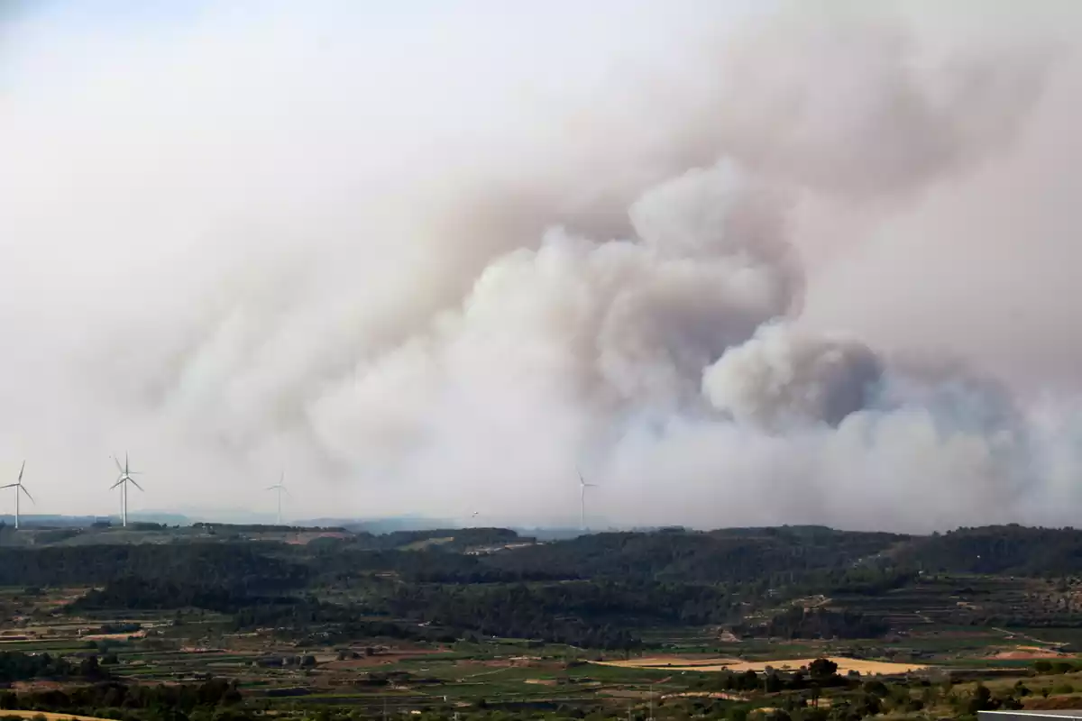 Columna de fum de l'incendi de Corbera d'Ebre al costat de dos aerogerenadors