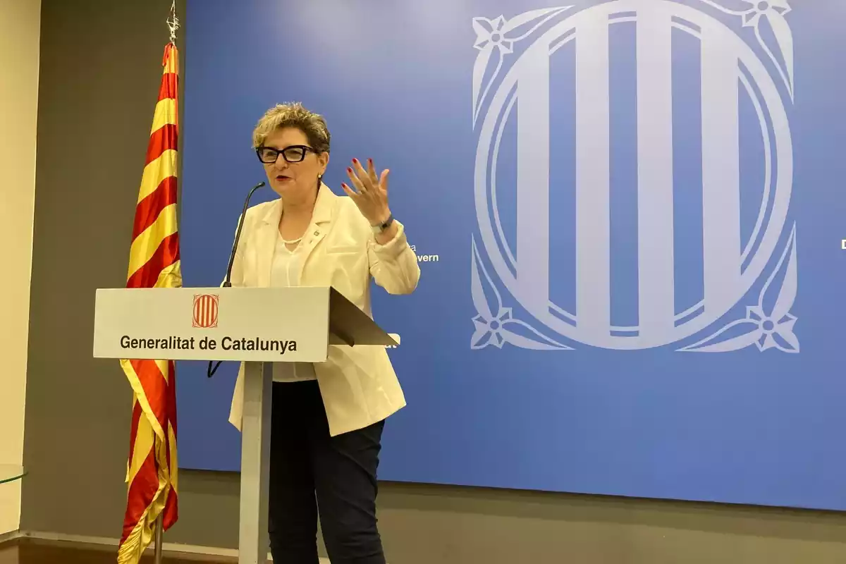 La delegada del Govern, Teresa Pallarès, durant una roda de premsa