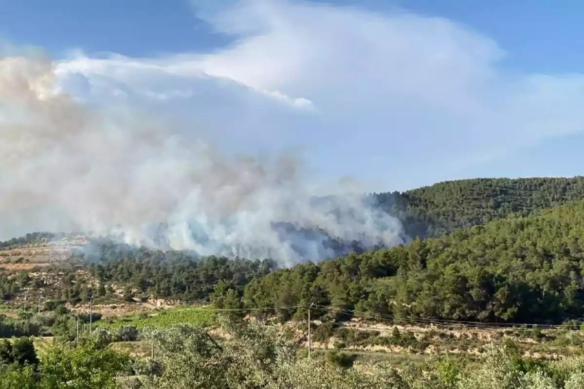 Vista general de l'incendi de Vilalba dels Arcs, a la comarca de la Terra Alta