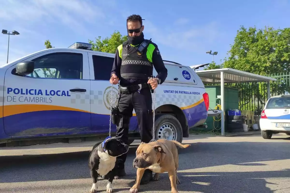 Policia amb dos gossos.