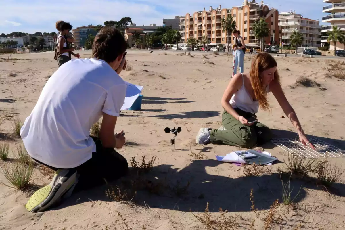Alumnes de la International School of the Hague participant en l'activitat de renaturalització de les dunes de la platja de la Paella