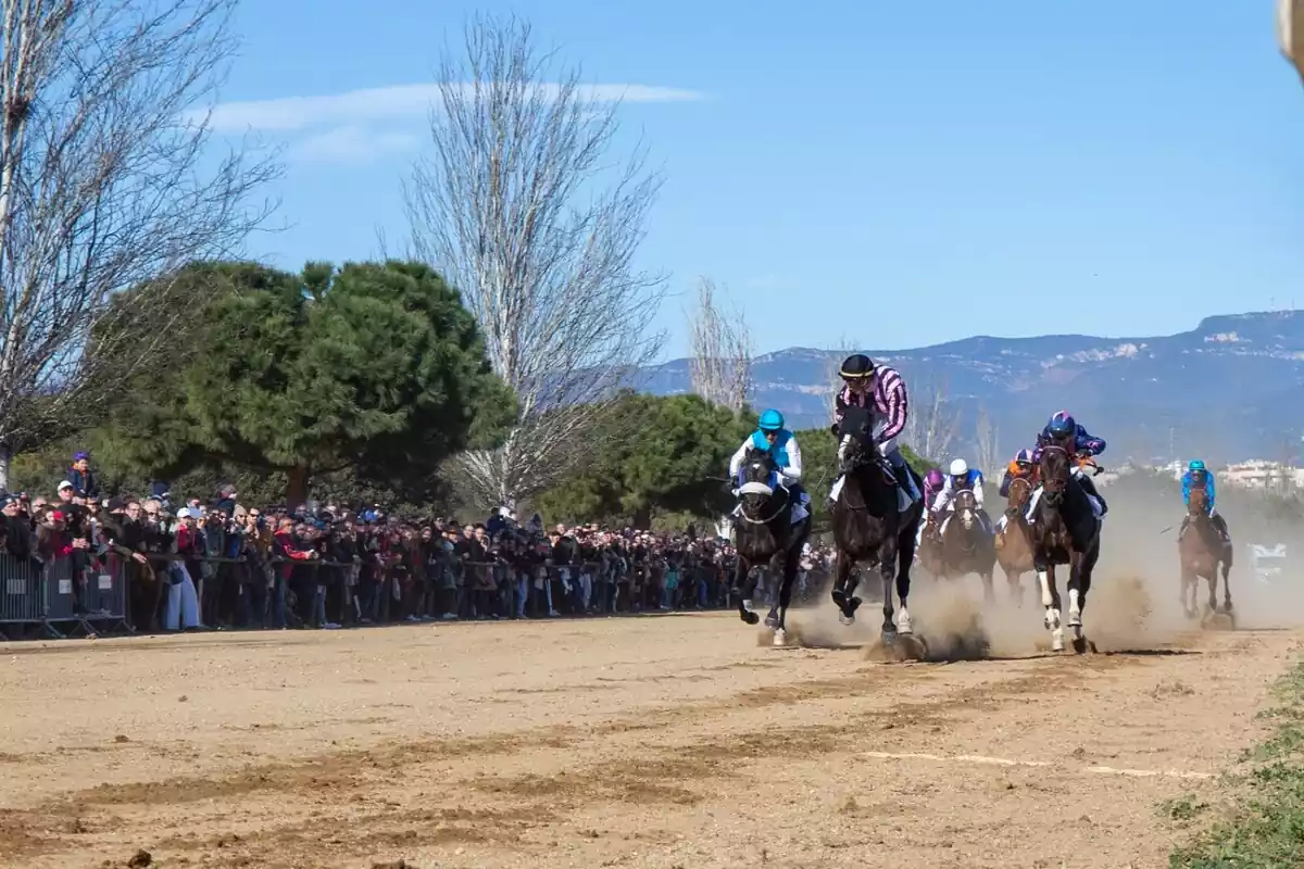 Imatge d'una cursa de cavalls al circuit del Parc de la Torre d'en Dolça de Vila-seca