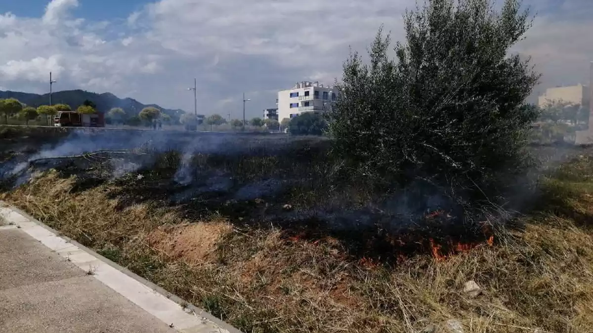 Imatge d'un incendi en sòl urbà, a Sant Carles de la Ràpita