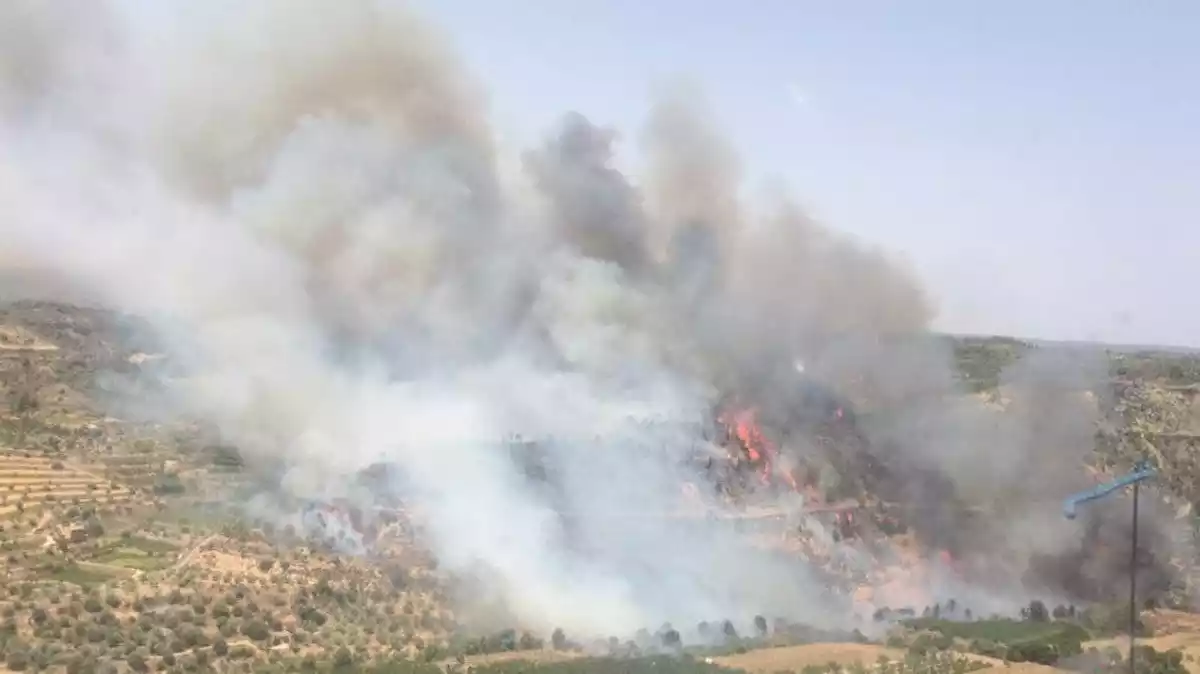 Incendi forestal entre Vinebre i la Torre de l'Espanyol el 26 de juny del 2019.