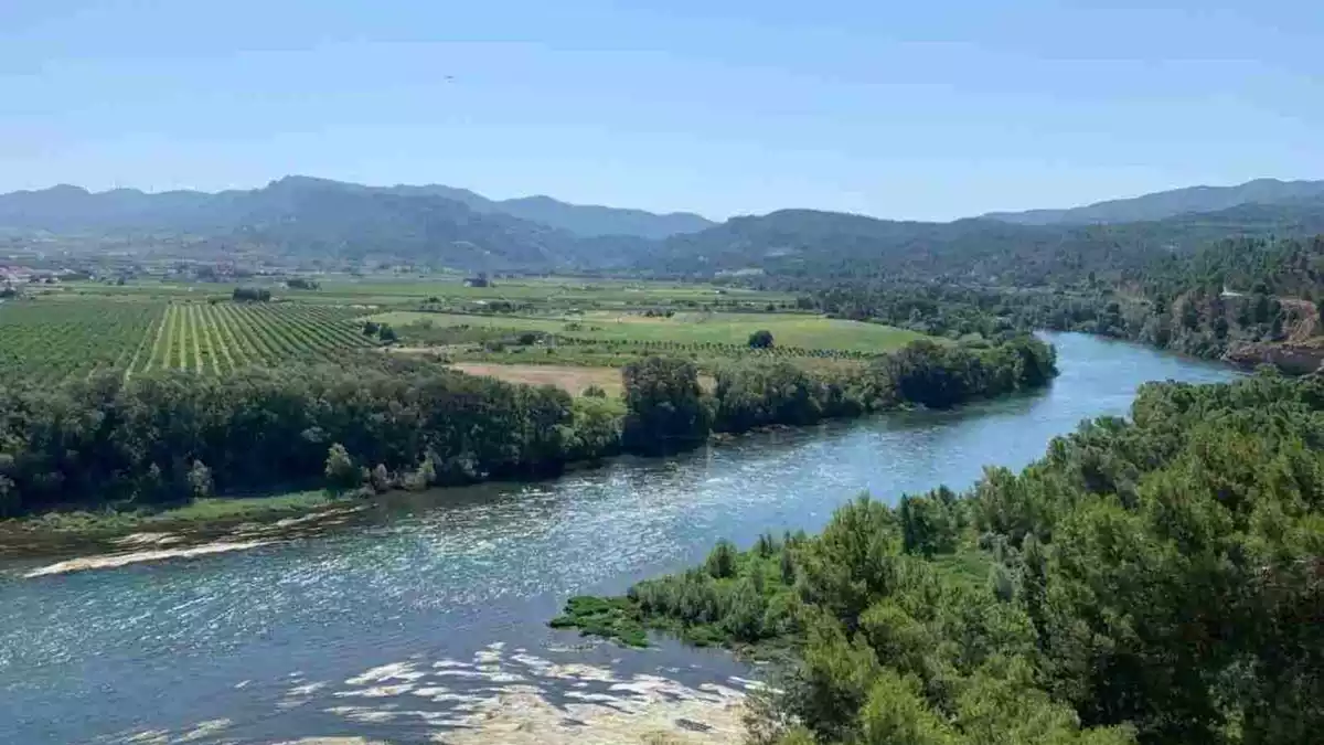 Riu Ebre des d'Ascó