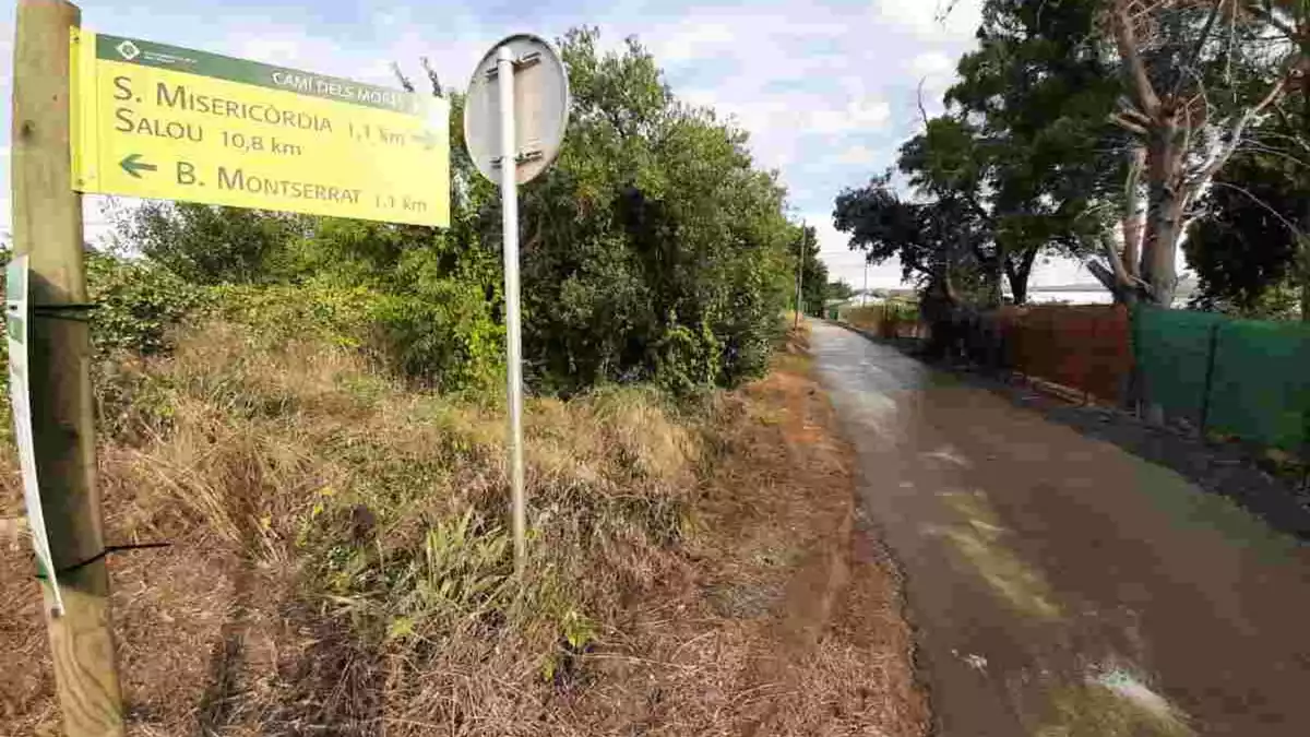 Camí dels Morts, a Reus