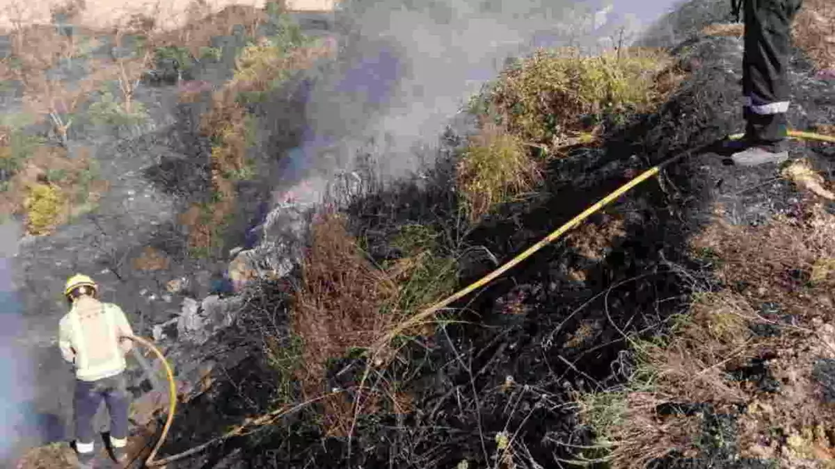 Imatge de l'incendi de vegetació a Vilalba i els Arcs
