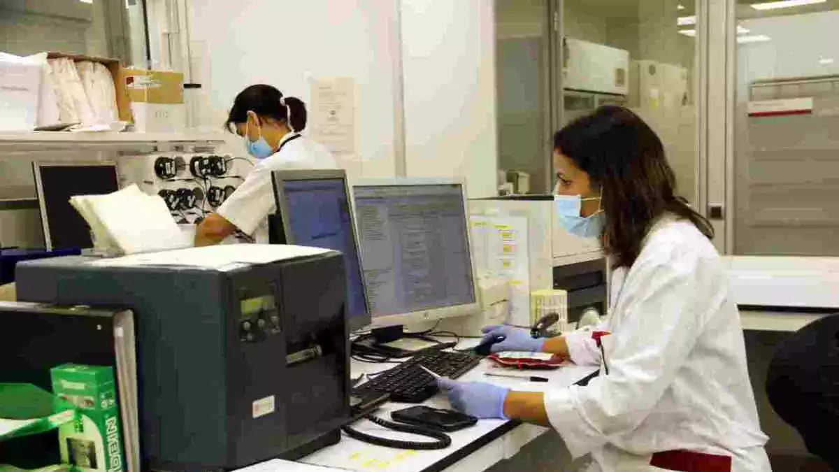 Dues professionals sanitàries treballant al Banc de Sang i Teixits de l'hospital Trueta