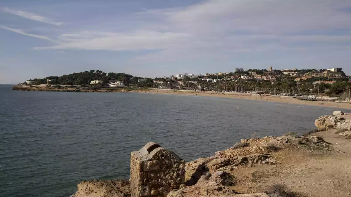 La platja de la Savinosa, pla general