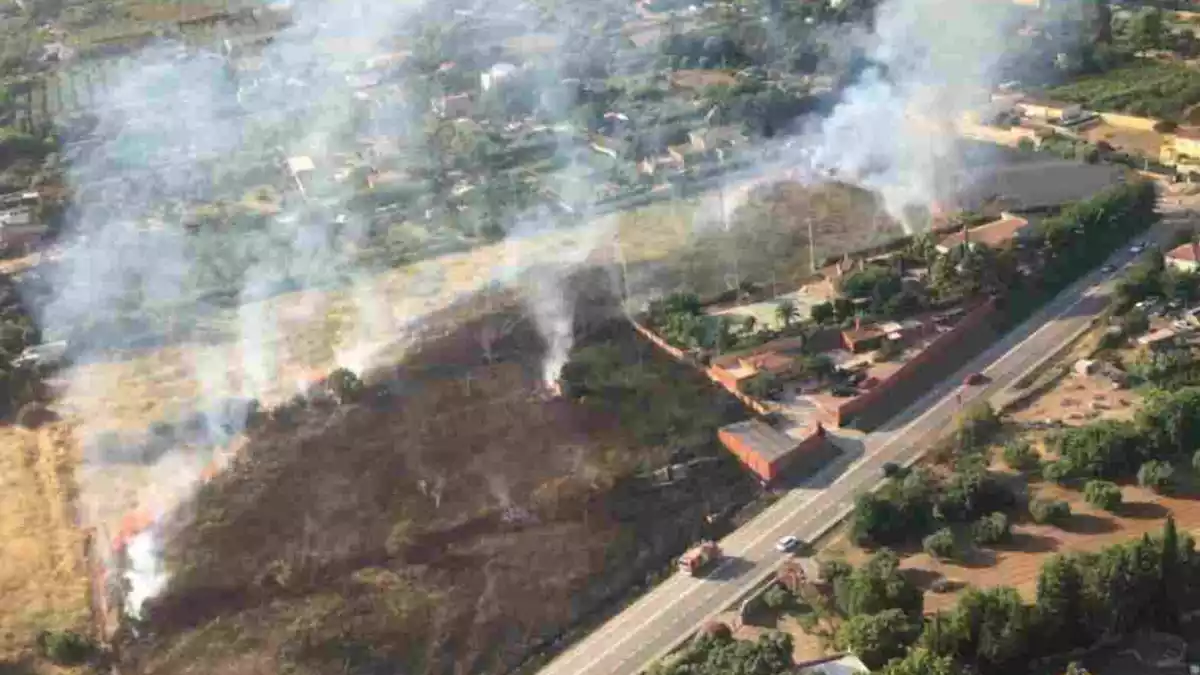 Imatge de l'incendi que crema vegetació agrícola a Reus