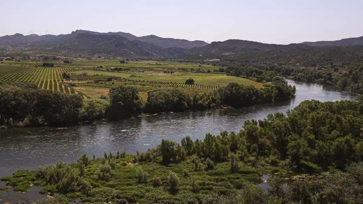 Turisme per Ascó: visita del casc antic, degustació i sortida pel riu Ebre