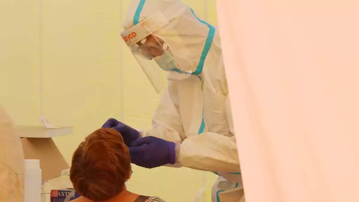 Pla mitjà d'un professional del CatSalut duent a terme una prova PCR de coronavirus a una veïna de Sabadell. Imatge del 7 d'agost de 2020.